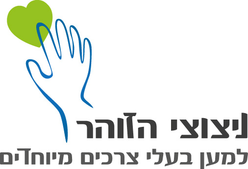 פעילות בדיקה